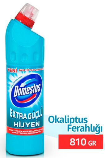 DOMESTOS OKALİPTÜS FERAHLIĞI 750 ML. ürün görseli