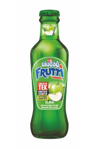 ULUDAĞ FRUTTİ SODA ELMALI 200 ML. ürün görseli