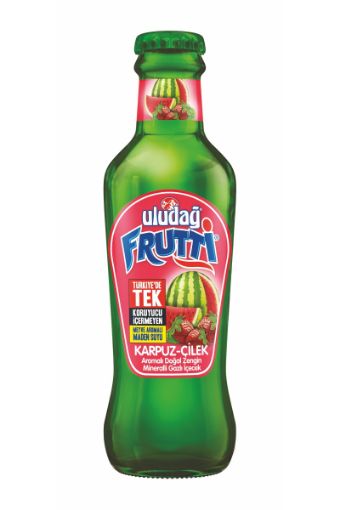 ULUDAĞ FRUTTİ SODA KARPUZ-ÇİLEK 200 ML. ürün görseli