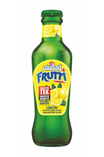 ULUDAĞ FRUTTİ SODA LİMONLU 200 ML. ürün görseli