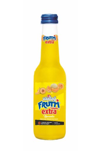 ULUDAĞ FRUTTI SODA EXTRA KAVUNLU 250 ML. ürün görseli